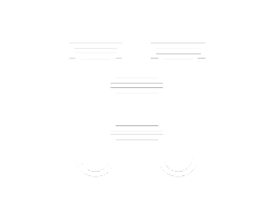 Duplex Canister Filter